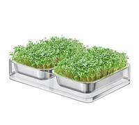 FANHAO Upgraded Visual Seed Sprouter Tray, Stainless Steel Soil-Free Cultivation Germination Tray with Acrylic Base, Healthy Microgreens Growing Kit for Indoors Sprouting Seeds, Grow Grass, Beans