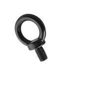 FANNIXI Eye bolts and nuts M3 M4 M5 M6 M8 M10 M12 M14 M16 M18 M20 M24 Black 304 Stainless Steel Ring Lifting Eyebolt Marine Lifting Eye Screws Ring Bolt (Color : M24X40 1PC)