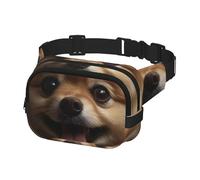 Fanny Pack Belt Bag for Men Women Cute Pomeranian Adjustable Waist Packs Bag Crossbody Bags for Travel, Black, One Size