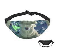 Fanny Pack Belt Bag for Women Men Waterproof Waist Pack Northern Lights Polar Bear Waist Bag with Adjustable Strap