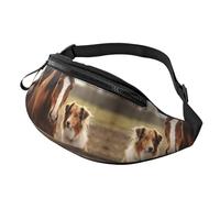 Fanny Pack, Collie Dog And Horse Together Printed Waist Pack,Adjustable Cross Body Bag For Travel Walking Running Hiking Cycling, Black, One Size