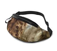 Fanny Pack Fierce Lion Against Stormy Sky Printed Casual Waist Bag Belt Bag for Outdoor Sports Fitness Hands Free Wallet Casual Sport Bum Bag