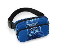 Fanny Pack for Men Women Blue Owl Belt Bag Lightweight Waist Bag Pack Full Printed Pack With Adjustable Strap For Running Hiking Travel, style, 20x13cm