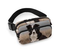 Fanny Pack for Men Women Border Collie Belt Bag Lightweight Waist Bag Pack Full Printed Pack With Adjustable Strap For Running Hiking Travel, style, 20x13cm
