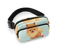 Fanny Pack for Men Women Cartoon Pomeranian Dog Belt Bag Lightweight Waist Bag Pack Full Printed Pack With Adjustable Strap For Running Hiking Travel, style, 20x13cm