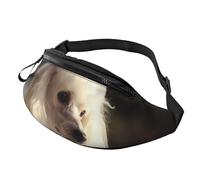 Fanny Pack for Men Women Crossbody Waist Bag French Poodle Belt Bag with Adjustable Strap Hip Bum Bag, Black, One Size
