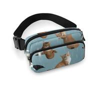 Fanny Pack for Men&Women Crossbody Waist Bag Small Sling Backpack Fire Guitar Belt Bag, Raining Cats & Dogs, 20x13cm