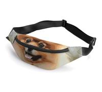 Fanny Pack for Men Women Pomeranian Dog Waist Pack Small Belt Bag with Adjustable Strap Waterproof Sling Bag Fashion Crossbody Bag Bum Bag for Travel Hiking Running, white, 14.2x5.9 Inches