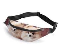 Fanny Pack for Men Women Pomeranians Puppies And Pointprinted Crossbody Belt Bags Sports Waist Bag ForTravel Running Hiking Walking Workout, Pomeranians Puppies And Point, 36*15cm