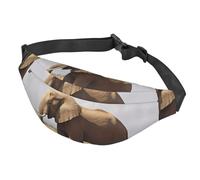 Fanny Pack for Men Women Waist Bag Adjustable Waist Pack Crossbody Belt Bag 3D Graphics Universe Space Bum Bag, African Elephant, One Size