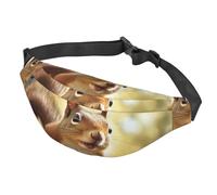 Fanny Pack for Men Women Waist Bag Adjustable Waist Pack Crossbody Belt Bag Red rose Bum Bag, Funny Squirrel, One Size