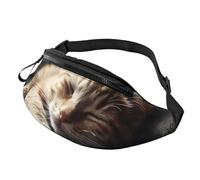 Fanny Pack for Women Mem Fashion Waist Packs Crossbody Napping Kitten Belt Bag with Adjustable Strap Waist Bag