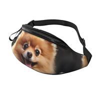 Fanny Pack for Women Mem Fashion Waist Packs Crossbody Pomeranian dog Belt Bag with Adjustable Strap Waist Bag, Black, One Size