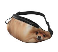 Fanny Pack for Women Mem Fashion Waist Packs Crossbody Pomeranians Puppies Belt Bag with Adjustable Strap Waist Bag, Black, One Size