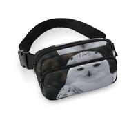 Fanny Pack for Women Men Belt Bag with Adjustable Strap Chicago Skyline Waist Pack for Everyday, Snow Owl, 20x13cm