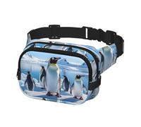 Fanny Pack Waist Bag Pack Adjustable Hip Bum Bag Penguin Antarctica Ice Crossbody Bags Belt Bag for Men Women