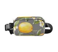 Fanny Pack Waist Bag, Women Men Crossbody Sling Bags, Sweet Fruit Turquoise, Large Capacity Travel Wallet, Color03, One Size
