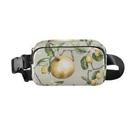 Fanny Pack Waist Bag, Women Men Crossbody Sling Bags, Sweet Fruit Turquoise, Large Capacity Travel Wallet, Color12, One Size