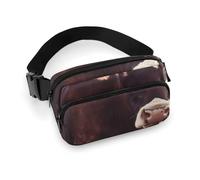 Fanny Packs Animal Cow Printed Crossbody Bags for Women with Adjustable Strap for Daily Living, style, 20x13cm, Fanny Packs