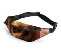 Fanny Packs Crossbody Bags Everywhere Bag Depressed Chihuahua Printed Small Sling Bag for Travel Hiking Running, style, 36*15cm, Fanny Packs