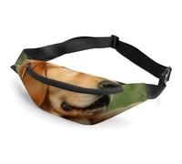 Fanny Packs Crossbody Bags Everywhere Bag Dog Golden Retriever Printed Small Sling Bag for Travel Hiking Running, style, 36*15cm, Fanny Packs