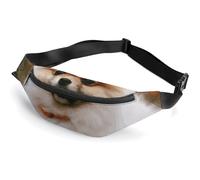Fanny Packs Crossbody Bags Everywhere Bag Short-haired Pomeranian Dog Printed Small Sling Bag for Travel Hiking Running, style, 36*15cm, Fanny Packs