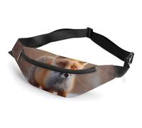 Fanny Packs Cute Fox Printed Crossbody Bags Everywhere Belt Bag Crossbody Belt Bags Small Sling Bag for Hiking Running Travel Cycling, style, 36*15cm, Fanny Packs