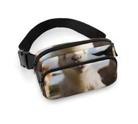 Fanny Packs Cute Goat Printed Crossbody Bags for Women Crossbody for Travel And Sports, style, 20x13cm, Fanny Packs
