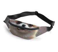Fanny Packs Cute Pomeranian Printed Crossbody Bags Small Sling Bag Everywhere Belt Bag for Women Men Outdoor Travel Running