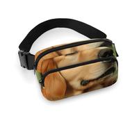 Fanny Packs Dog Golden Retriever Printed Crossbody Bags for Women with Adjustable Strap for Daily Living, style, 20x13cm, Fanny Packs