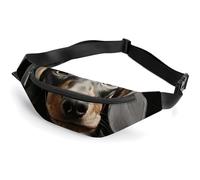 Fanny Packs Pad Dachshund Printed Crossbody Bags Everywhere Belt Bag Crossbody Belt Bags Small Sling Bag for Hiking Running Travel Cycling, style, 36*15cm, Fanny Packs