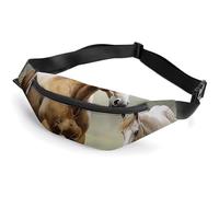 Fanny Packs Paintings Horses Printed Crossbody Bags Everywhere Belt Bag Crossbody Belt Bags Small Sling Bag for Hiking Running Travel Cycling, style, 36*15cm, Fanny Packs