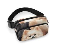 Fanny Packs Pomeranians Pattern Printed Crossbody Bags for Women with Adjustable Strap for Daily Living, style, 20x13cm, Fanny Packs