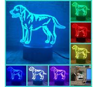 Fanrui 3D Golden Retriever Remote Control 16 Color Night Lights,Cartoon Animal Dog Puppy LED Illusion Table Dimmable Lamp,Children Bedroom Home Decor,Boys Girls Kids Teens Xmas Birthday New Year Gifts