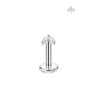 FANSING 316L Surgical Steel Butterfly Threadless Push Pin Labret Stud with Cubic Zirconias, 20 Gauge 5mm, Metal, no gemstone