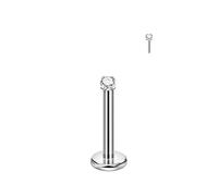 FANSING Single 316L Surgical Steel Threadless Labret Stud with CZ for Nose Cartilage Helix Rook Conch Tragus Earlobe Piercings, 2.5mm, 16 Gauge 10mm, Stainless Steel, no gemstone