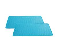 FANSU 2 Pack Absorbent Puppy Pads, Non-Slip Blue Puppy Training Pads Reusable Dog Mat Washable Dog Training Pads Large Puppy Pads for Crate, Potty Training, Car, Travel (45x60cm,Blue1)