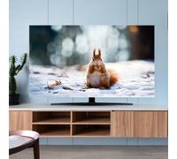 FANSU TV Dust Cover, TV Screen Cover, Universal Elastic Television All-Inclusive Protection, Computer Dust for 32” to 80” Television/PC Display Decoration (Squirrel,43'')
