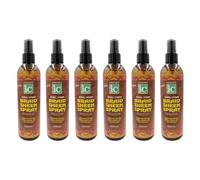 Fantasia IC Braid Sheen Spray, 295ml, Pack of 6