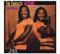 Fantastic Aleems - Stepping Out [Vinyl LP] [VINYL]