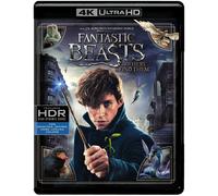 Fantastic Beasts and Where to Find Them (4K Ultra H (4K UHD Blu-ray) (US IMPORT)