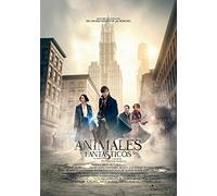 Fantastic Beasts and Where to Find Them (ANIMALES FANTÁSTICOS Y DONDE ENCONTRARLOS - DVD - POSTALES PERSON AJES, Spain Import, s
