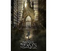 Fantastic Beasts and Where To Find Them (Blu-ray)