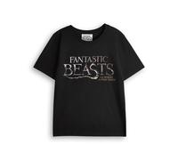Fantastic Beasts And Where To Find Them Boy's Kids Short Sleeved T-Shirt (Black) in Black | Size: 7-8 Years Fantastic Beasts And Where To Find Them Black 7-8 Years