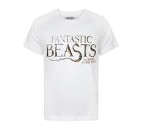 Fantastic Beasts And Where To Find Them Boys White Short Sleeved T-Shirt - 13-14 Years