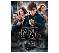 Fantastic Beasts and Where To Find Them (DVD)