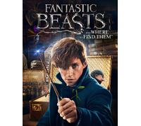 Fantastic Beasts and Where to Find Them (DVD) Eddie Redmayne (US IMPORT)