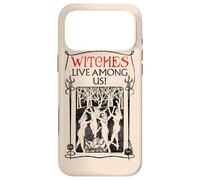Fantastic Beasts and Where to Find Them Witches Among Us Case for iPhone 17 Pro Max