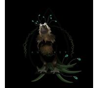 Fantastic Beasts Augurey Women's T-Shirt - Black - M