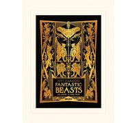 Fantastic Beasts The Crimes Of Grindelwald Art Prints, Multi-Colour, 30 X 40cm